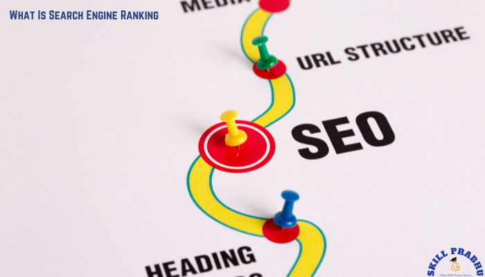 What Is Search Engine Ranking